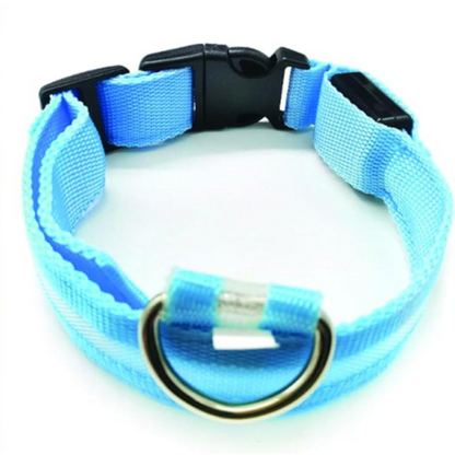 PARENCE - Collier Lumineux pour Chien Taille M, 3 Modes d'Eclairage/Collier LED pour Animaux avec Boucle d'attache et Fermeture à Clipser